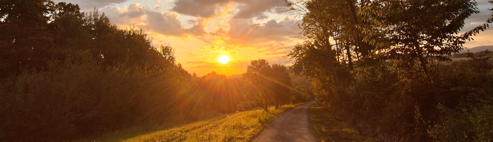 Dílna u dvou koček