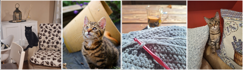 Tvoření, háčkování, pletení, kočky, dílna u dvou koček